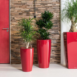 Pot Rondo Premium 32 - kit complet, rouge scarlet brillant  Ø 32 cm - LECHUZA