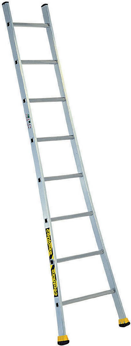 Echelle simple SE 2m95