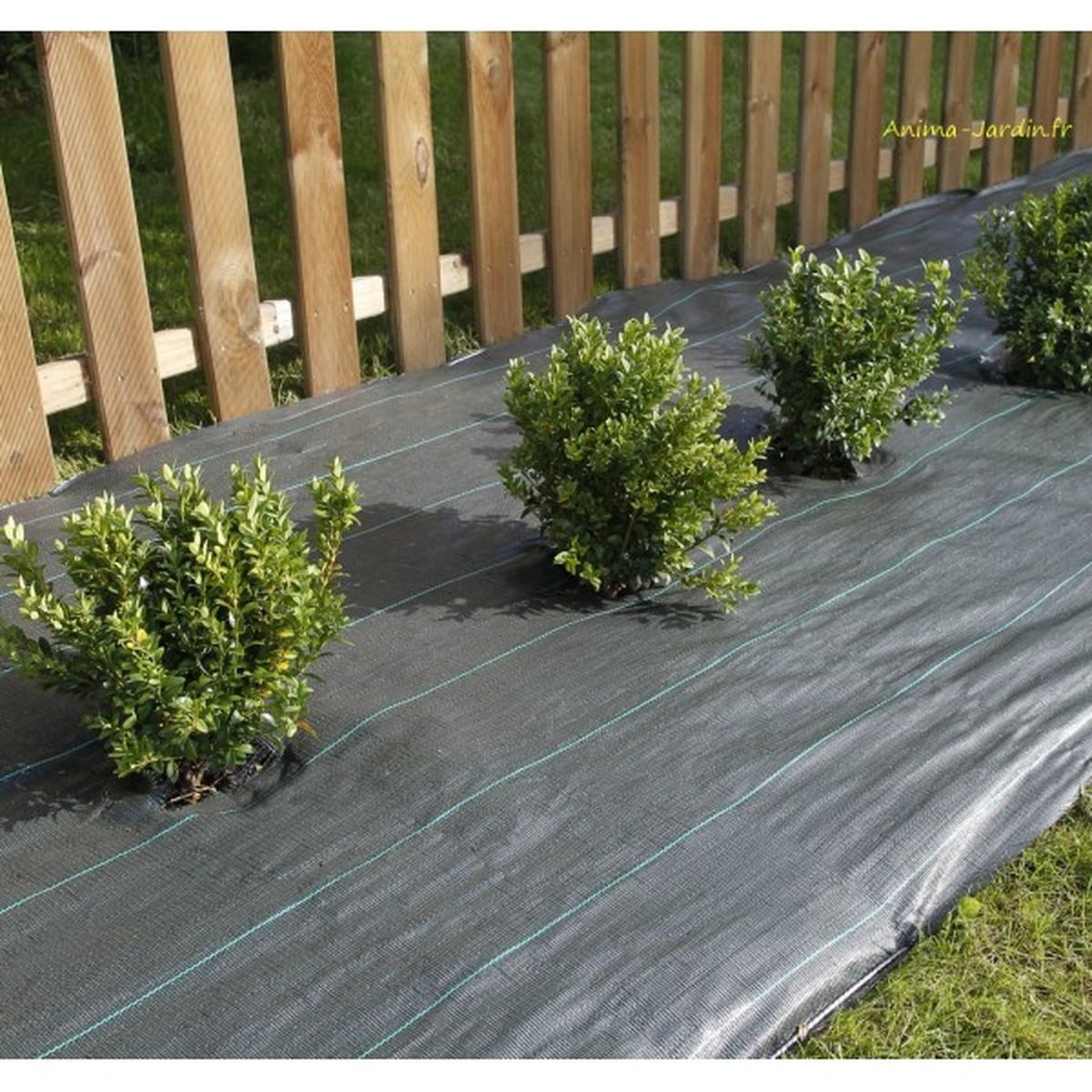 Toile de paillage tissée \