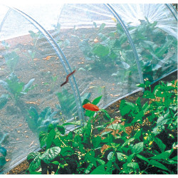 Filet anti-insectes "Biocontrol" 3,30 x 10 - NORTENE 