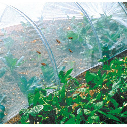 Filet anti-insectes "Biocontrol" 3,30 x 10 - NORTENE 