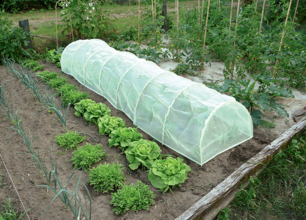 Tunnel accordéon avec filet anti-insectes Protect Tunnel - 0,60 x 0,45 x 3 m