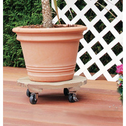 Support à roulettes rond "Flora Roll Autoclave" - 35 cm - NORTENE 