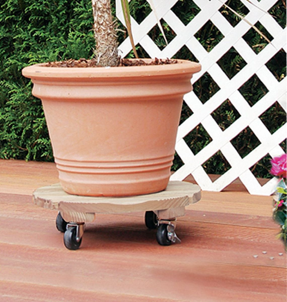 Support à roulettes rond Flora Roll Autoclave - 35 cm