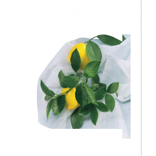 Housse protection du froid pour plantes, voile hivernage x 2, Maxifleece