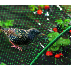 Filet de protection oiseaux "Birdnet" - 1 x 10 m - Noir - NORTENE 