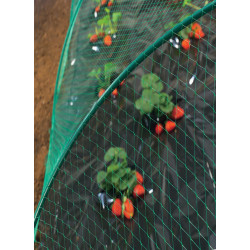 Filet de protection oiseaux "Birdnet" - 1 x 10 m - Noir - NORTENE 