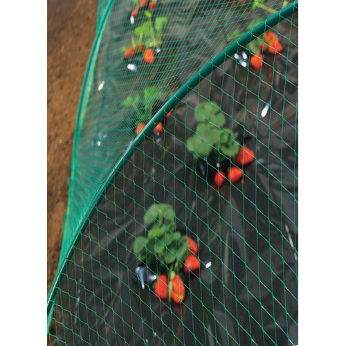 Filet de protection oiseaux "Birdnet" - 1 x 10 m - Noir - NORTENE 