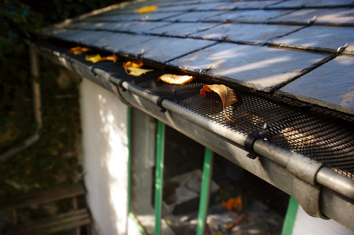 Grillage de protection pour gouttière Leafprotec - 0,17 x 6 m