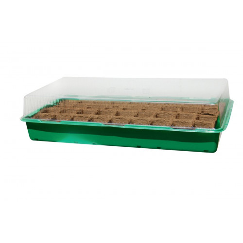Mini serre "Growing Kit" avec plaque biodégradable - 6 x 6 cm - NORTENE 