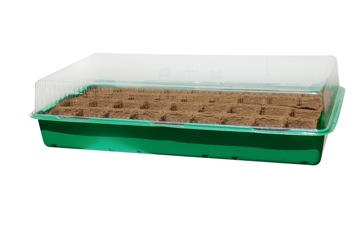 Mini serre Growing Kit avec plaque biodégradable - 6 x 6 cm