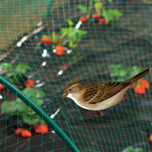 Filet de protection oiseaux "Birdnet" - 5 x 5 m - Vert - NORTENE 