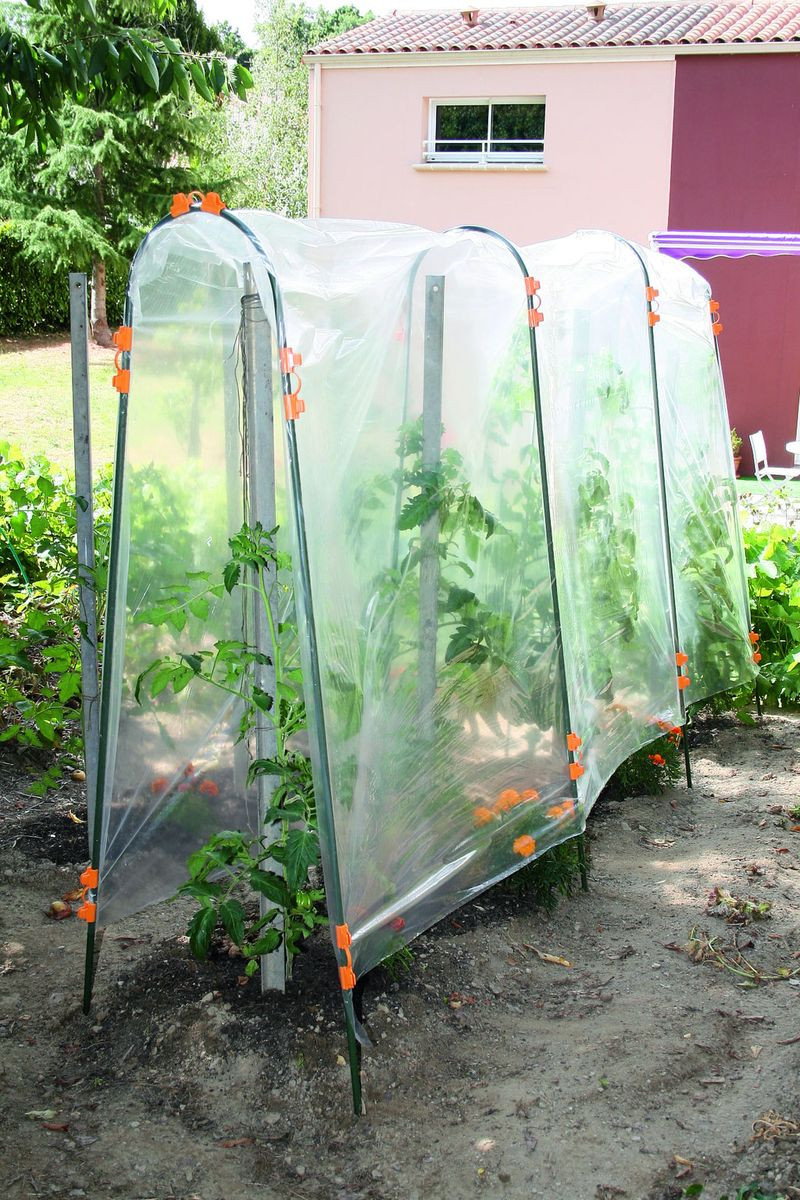 Film de forçage tunnel tomates " Tomato Film" - 3 x 3,50 m