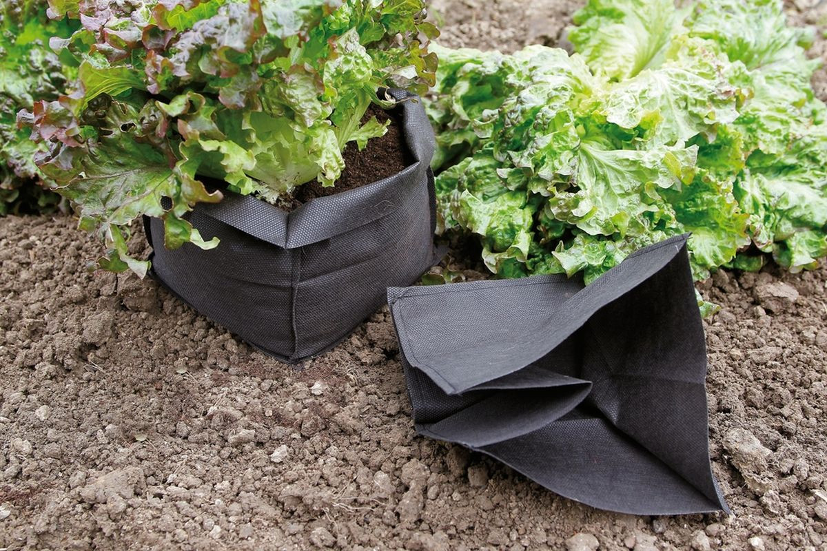 Lot de 12 sacs de protection pour salade Bag Biocontrol