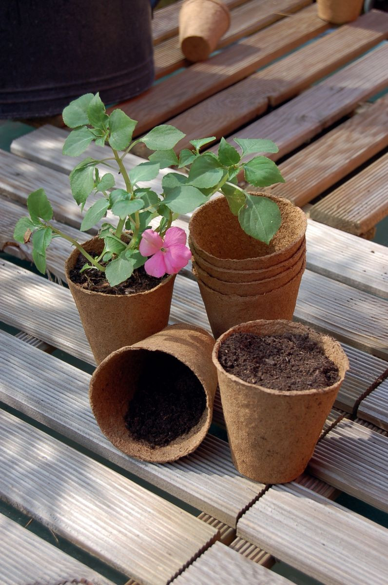 100 Pots Biodégradables 8cm + 10 étiquettes - Jardinage écologique Semis