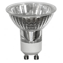 1 ampoule 170 lumen 25W - A broches GU10 - OUTIFRANCE