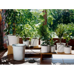 Arrosoir automatique de vacances pour plantes en pots - GARDENA