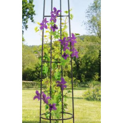 Support décoratif OBELISK 2 m - NORTENE 