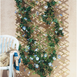 Treillis Bamboo, en bambou, 50 x 170 cm : Treillis plantes NORTENE jardin -  botanic®