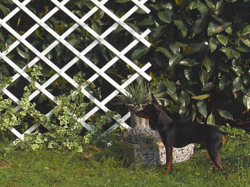 Treillis extensible en PVC 0,5 x 1,5 m blanc TREILLIFLEX