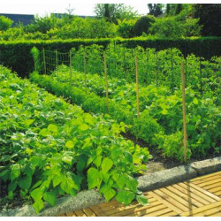 Filet de protection vert Birdnet 4x6m - Chemin des Poulaillers