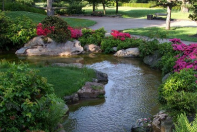 A quel moment arroser son jardin ?