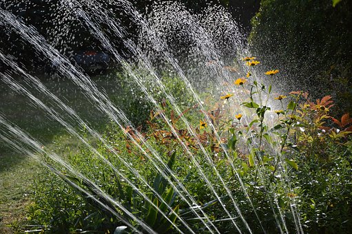 Installer un arrosage de surface dans votre jardin