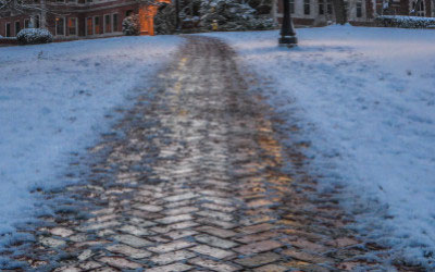 Comment enlever la neige et le verglas en hiver ? Pelle, sel déneigeant ou  déneigeuse ? 