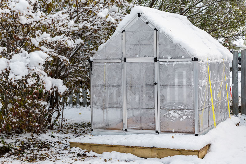 Serre de protection hivernale pour plantes gélives