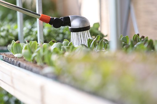 Installer un arrosage de surface dans votre jardin