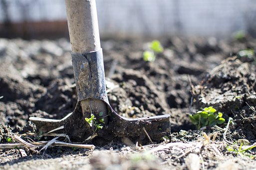 Que peut-on planter en avril au jardin ?