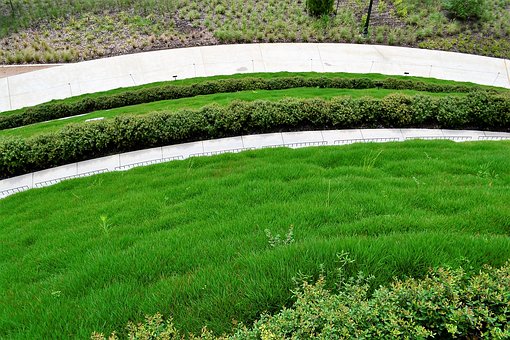 une bordure de jardin