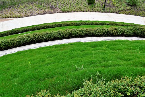 une bordure de jardin