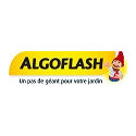 Algoflash
