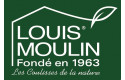 Louis Moulin