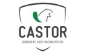 Castor