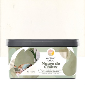 Peintures à effet Maison Deco