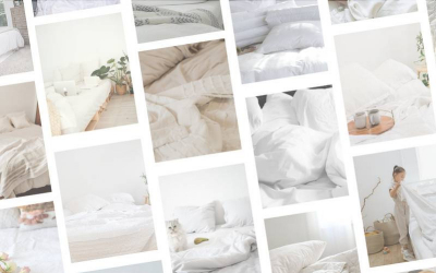 Comment prévenir et traiter les punaises de lit?