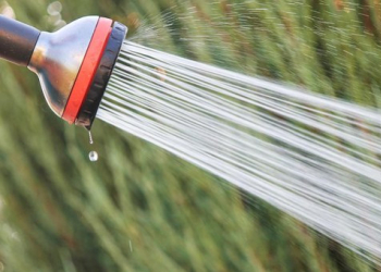 Installer et choisir un arrosage de surface au jardin