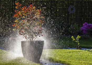 L'arrosage enterré de jardin, le must have de l’efficacité