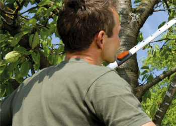 Quel outil choisir pour ramasser les feuilles mortes?