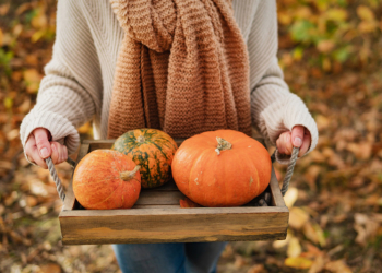 Quand faut-il ramasser les citrouilles ?